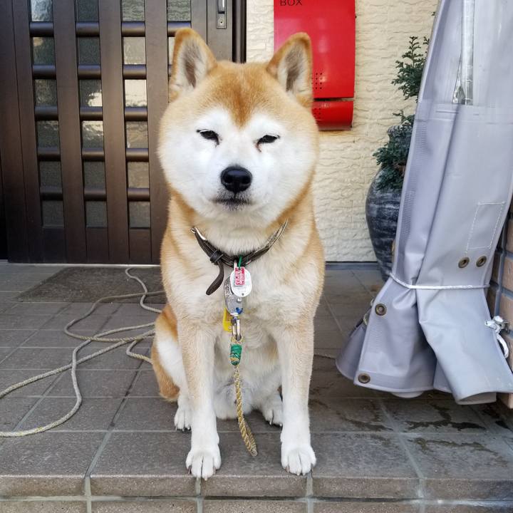 51e020c4 0154 4ffc abcb 149cb4bc0589 1618180303873