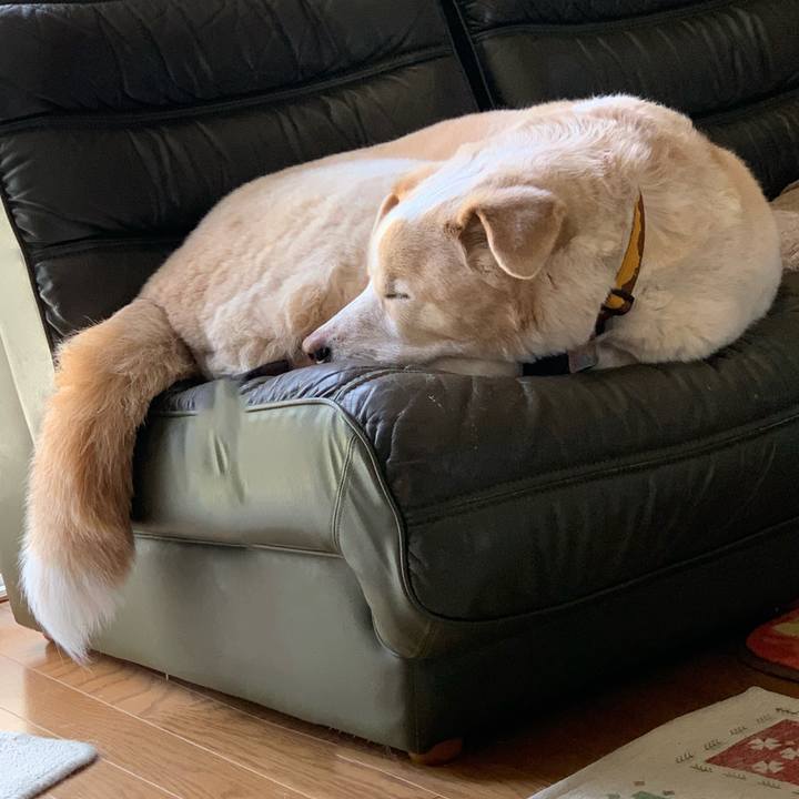 51e023dc ebcb 4e2a 9474 297c18d5d7d8 1620014995338