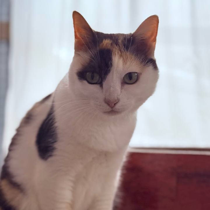 51e0378a eb10 4ace 8f48 5b5111ed4e5e 1758851135327