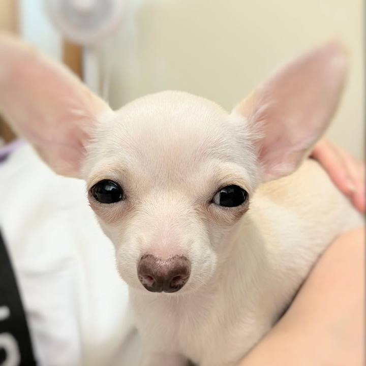 51e037dd 39e4 478e 8618 d91988e905fe 1771759332802