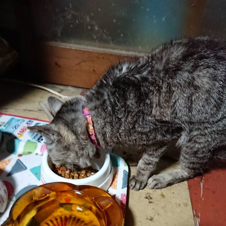 51e05b66 154d 4bb3 9bf9 f45446a65933 1594756688331