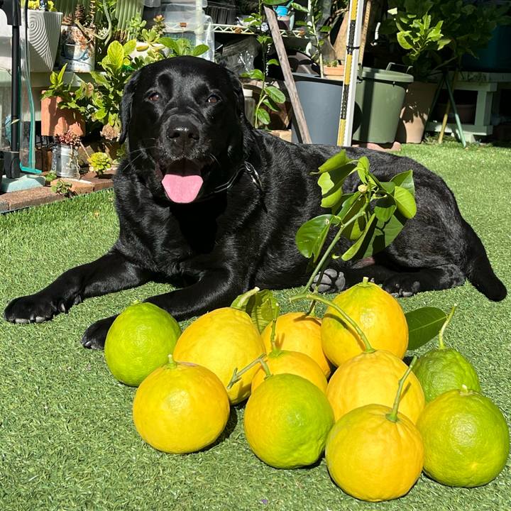 51e05bce aa30 4352 b642 54353479bbd5 1763849914657