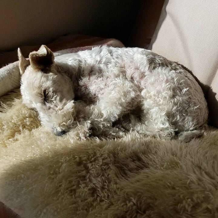 51e065fe c76e 489b 90e2 c46f0348533e 1523921403648