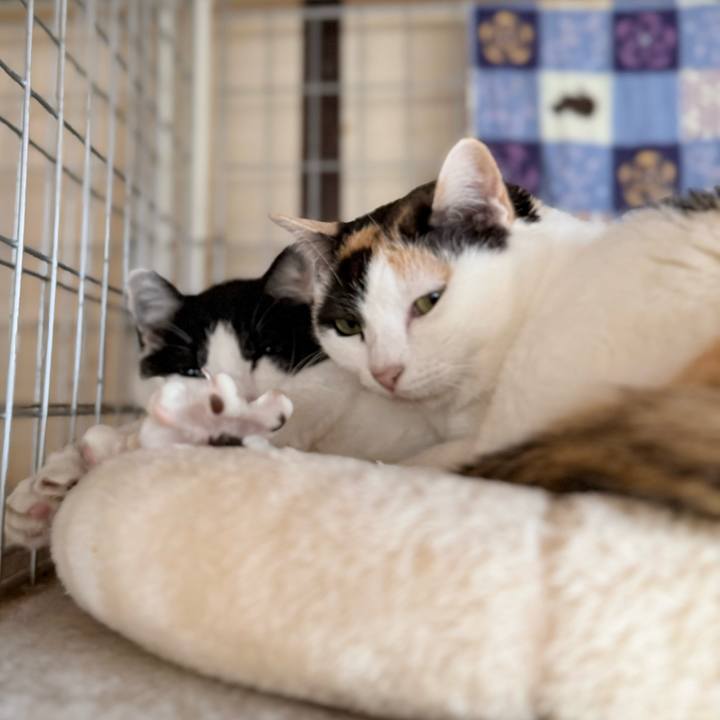 51e06cd7 7683 4865 ae6c 2f7bd2e6ebd3 1746669412427