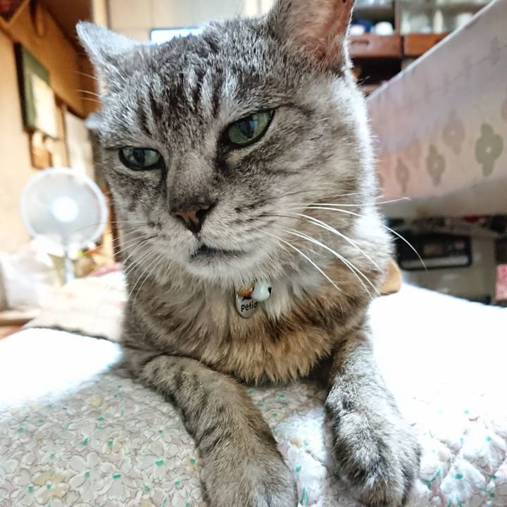 51e07095 3720 4e8c b789 7f39daf23566 1567851463761