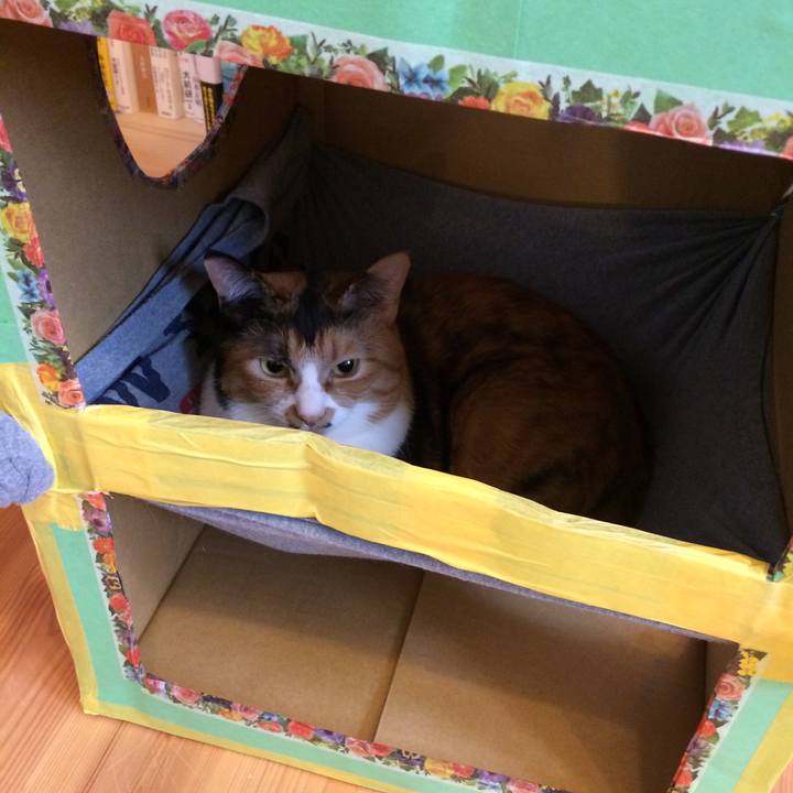 51e08e8b d8e8 482f 982e 346a2ed9f151 1513387220460