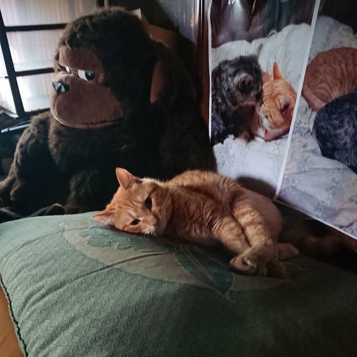 51e090af 0a6c 41cb 8f20 713fd6466b16 1657486304225