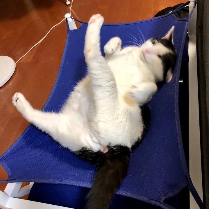 51e0c623 a23c 42bb 8b1a 985221391554 1561552223559