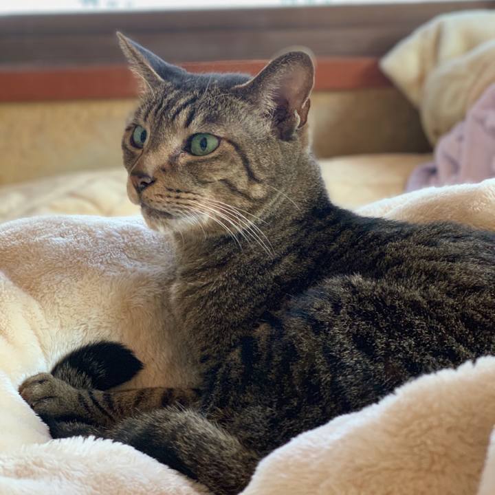 51e0d650 bf64 43e0 b5bb a2074051dd21 1542330666151