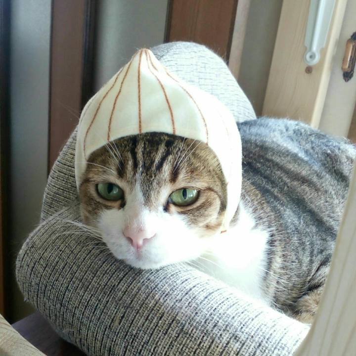 51e10f7b 01a0 455b 9920 e86ed78bf24c 1533620549013