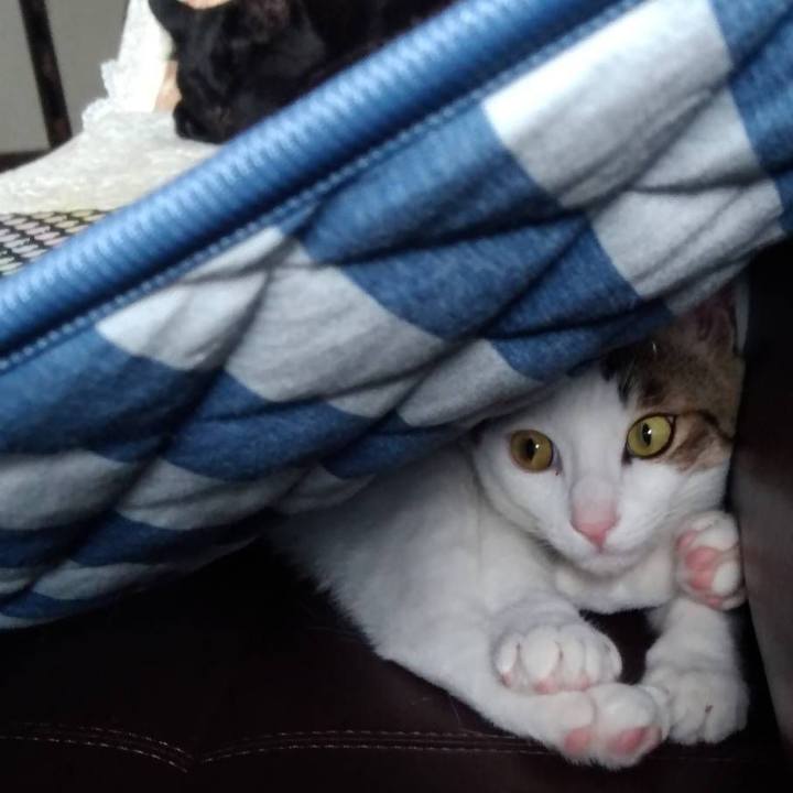 51e1377a 25f2 4cfd a149 df0f113f3375 1661742283463