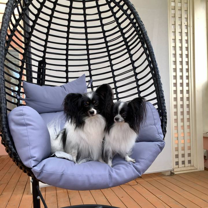 51e139d9 ecad 49a0 b34c 8078b9e8264e 1542845295407