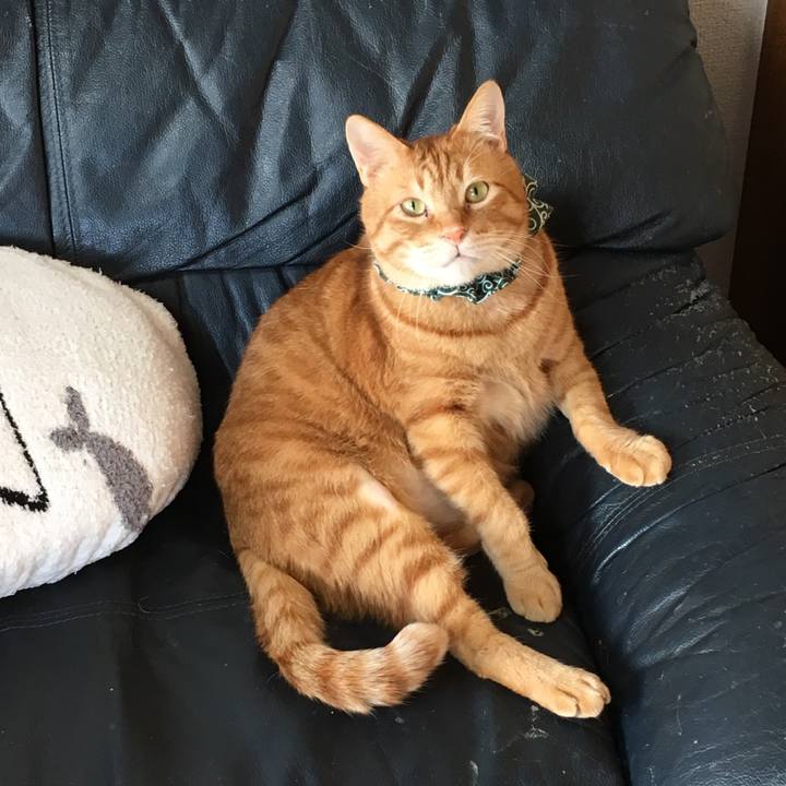 51e151f1 c73d 4d31 86dc 45805e6a90f7 1551957153929