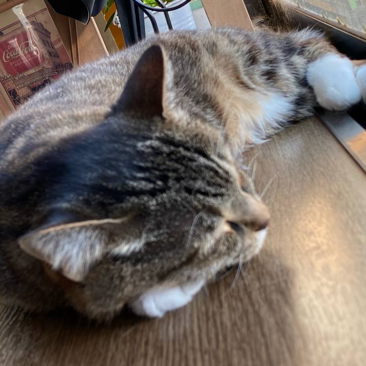 51e1625d d91a 4463 8d68 bc8d9958ba3e 1608962206589