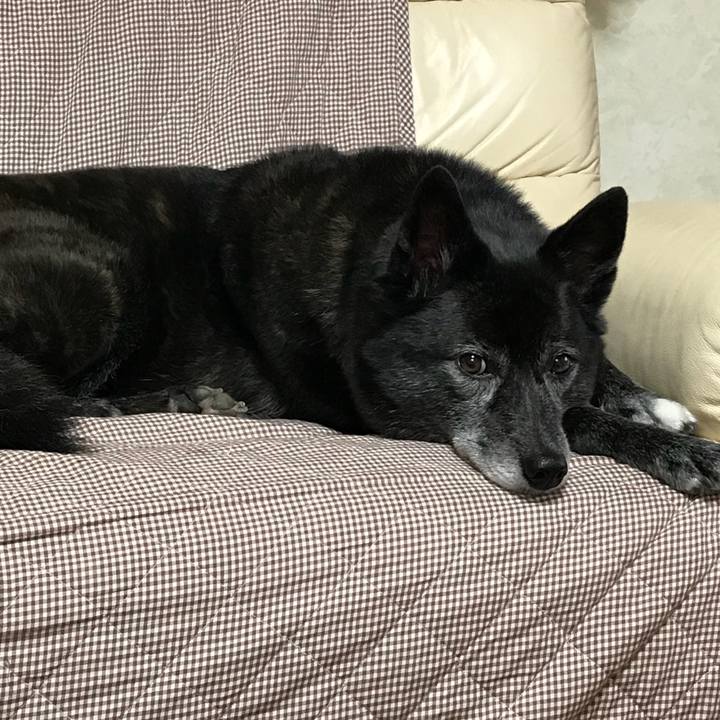 51e1cd0a 89e9 4d26 bdb0 18d75248d946 1510667706234