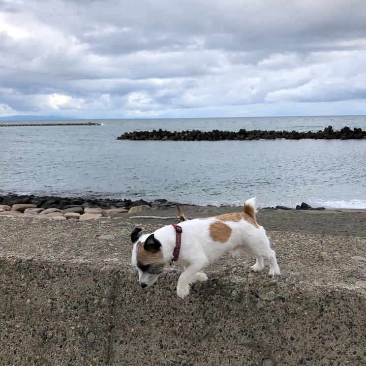 51e1dd2a e630 44b7 99a7 32de63f40366 1593384333094