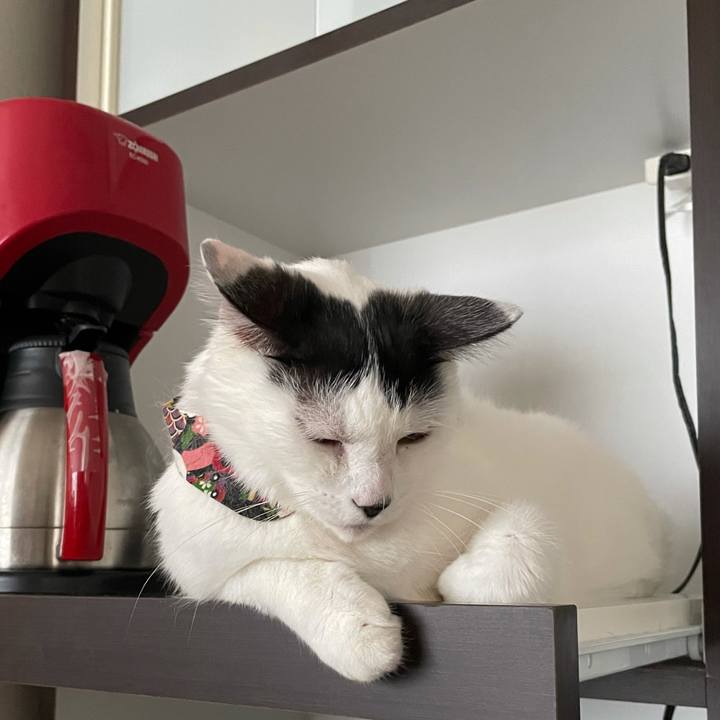 51e1e88d 1be8 4aeb acc8 51d28c44de2c 1633998069811