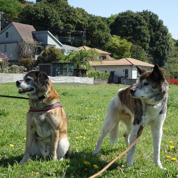 51e1e926 373c 49cf ac50 e746598b00df 1565571214276