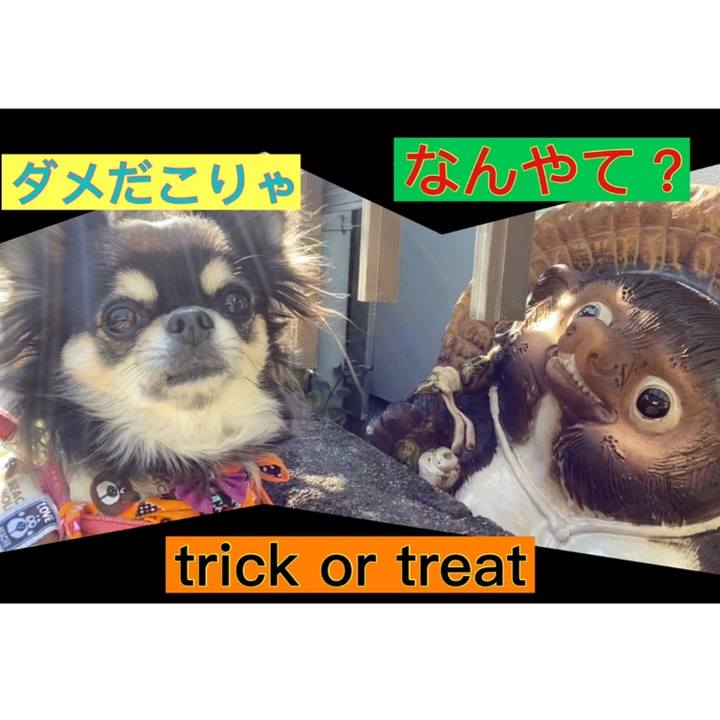 51e1e96a e22e 438b 870e e62432ada12e 1604027064301