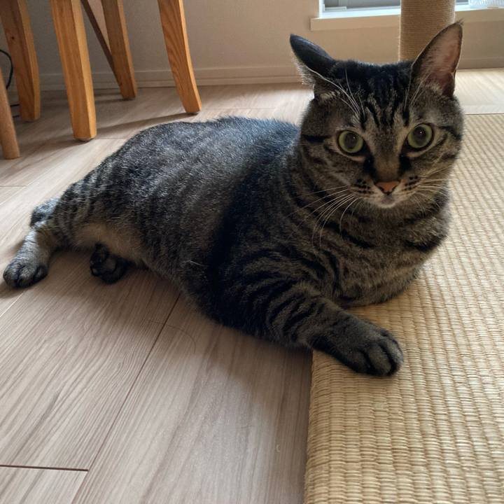 51e24dd4 7a05 4979 8581 b58acc72e20d 1595718110926