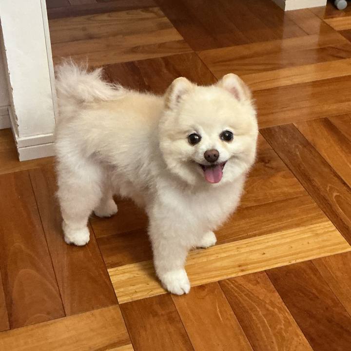 51e25107 5d55 46bc ae64 75898e333858 1758022231834