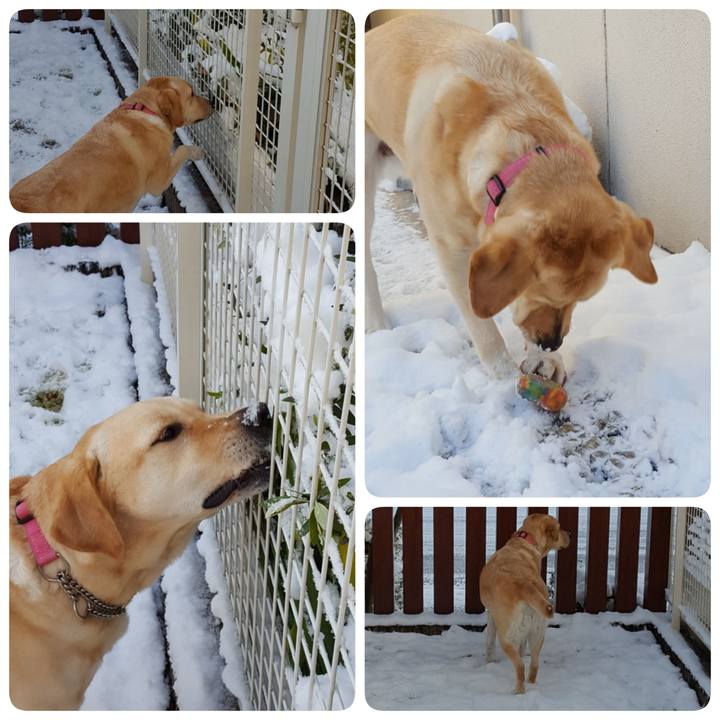 51e2c076 2cdb 45e4 b113 37e05e63b67c 1516842457107