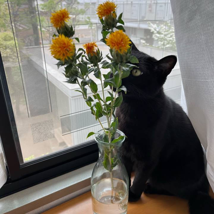 51e2caf9 8eee 4f99 aad7 d4af73d0f18f 1681862441722