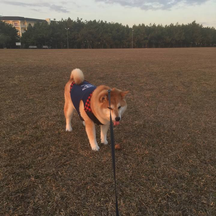 51e3199c 5dbe 4430 93a0 e250cfd8cb17 1545382207823