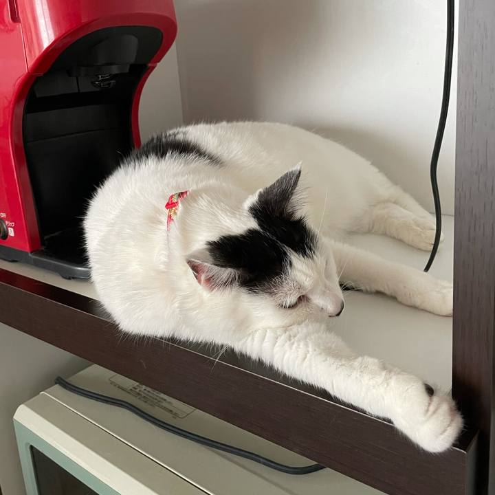 51e3358c 794f 43f0 93dc 4875c1dbbe8d 1617063920437