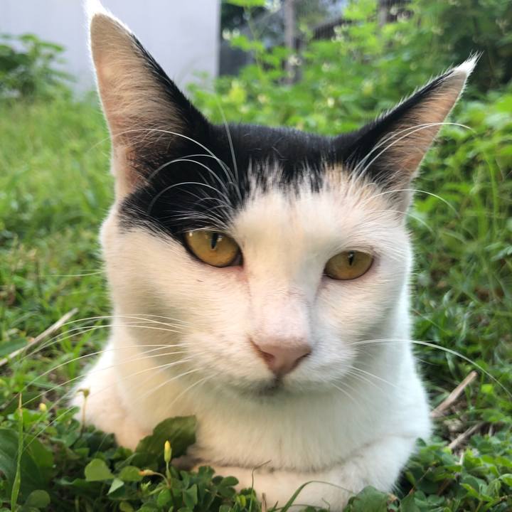 51e38439 e81f 49af 9fbd b84c0538ab27 1598652718540