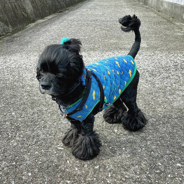 51e39336 9540 4df7 b19a 4d427afc5e0b 1583757508416