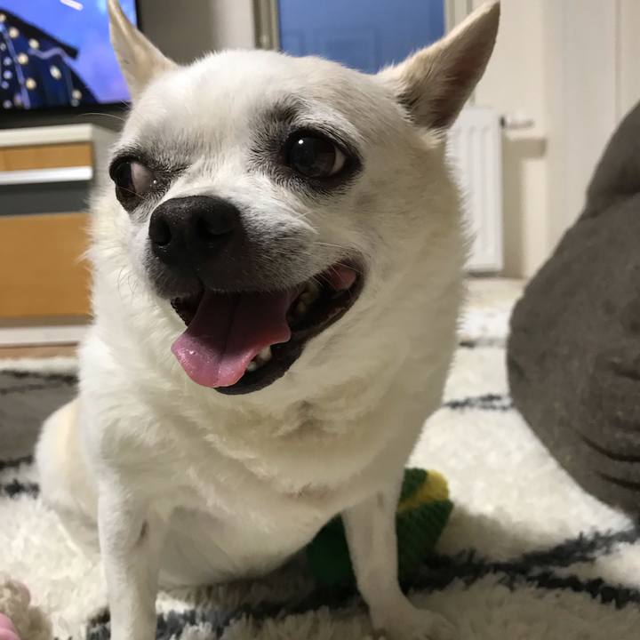 51e3ab50 b415 4d41 8cf2 32df7fc19bc7 1591615166382