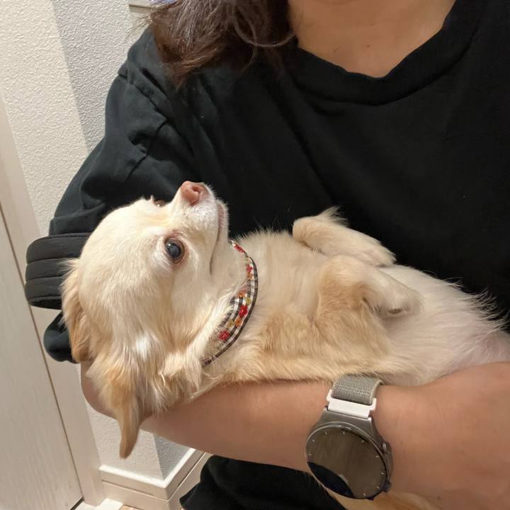 51e3cde4 2526 4381 a7fb 2fb487e4a36d 1726053628969