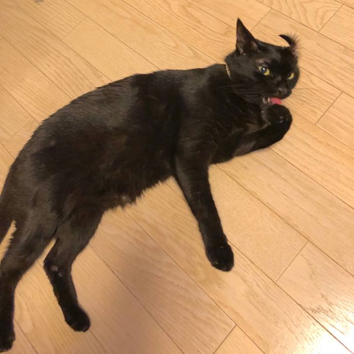 51e3d62b 903a 4b1b a546 67bb2088149a 1526471089355