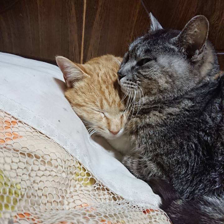 51e475e1 1dba 4d07 ab36 652d4306c434 1584014966471