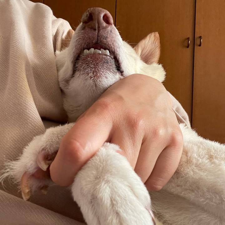 51e47d56 c320 44d7 b20b 2d086f721fa9 1674099070652