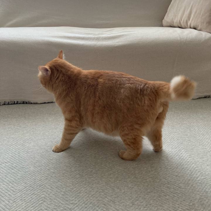 51e482fc a223 49a6 bf98 1aa8e42ec010 1772455504259