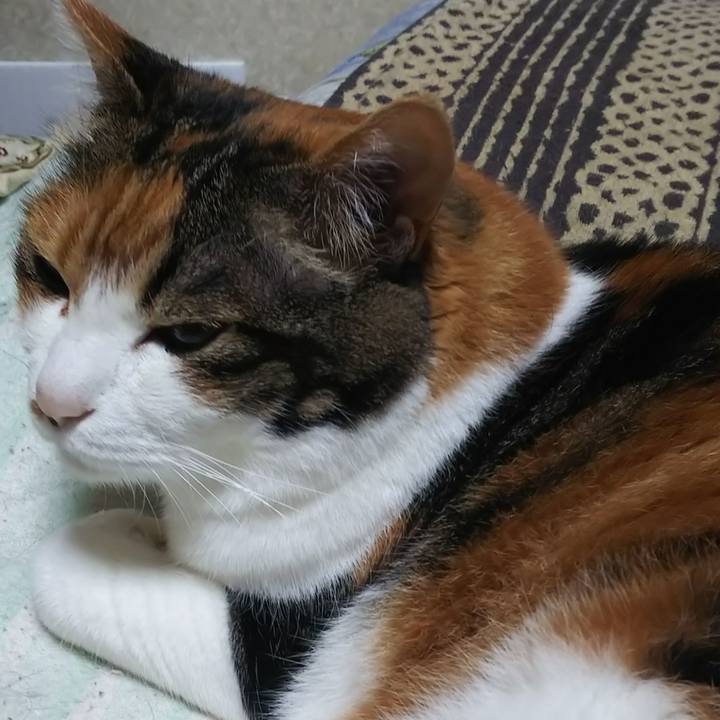 51e48709 1bd5 4195 a733 43ade99abe58 1561067385986