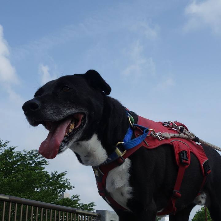 51e48718 0381 4e62 a2e7 05cdd364a8b3 1684753118456