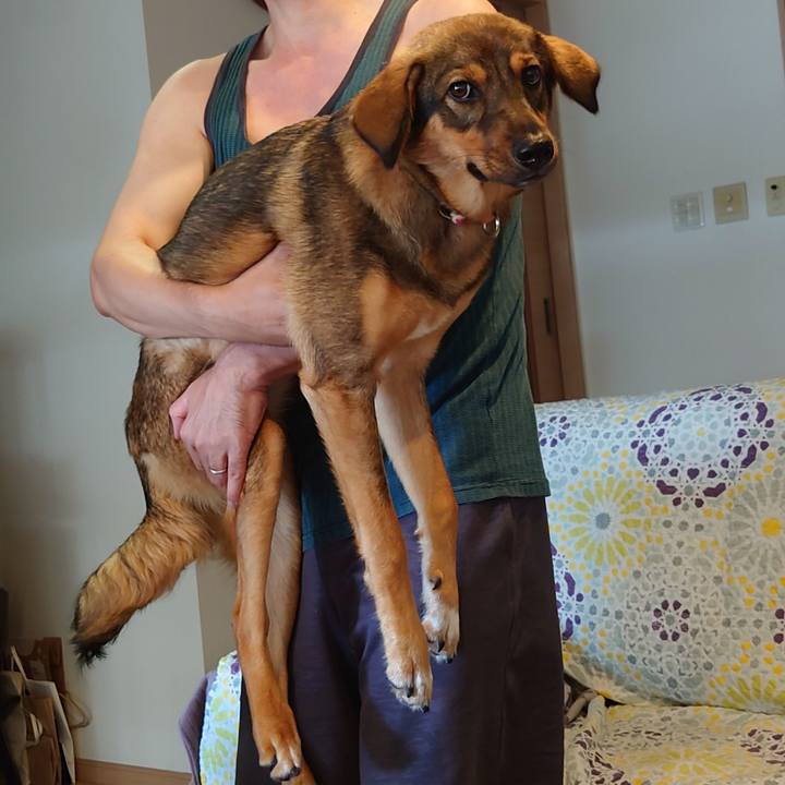 51e4893c 3060 4706 908e 6aa3b9a01169 1689646278108