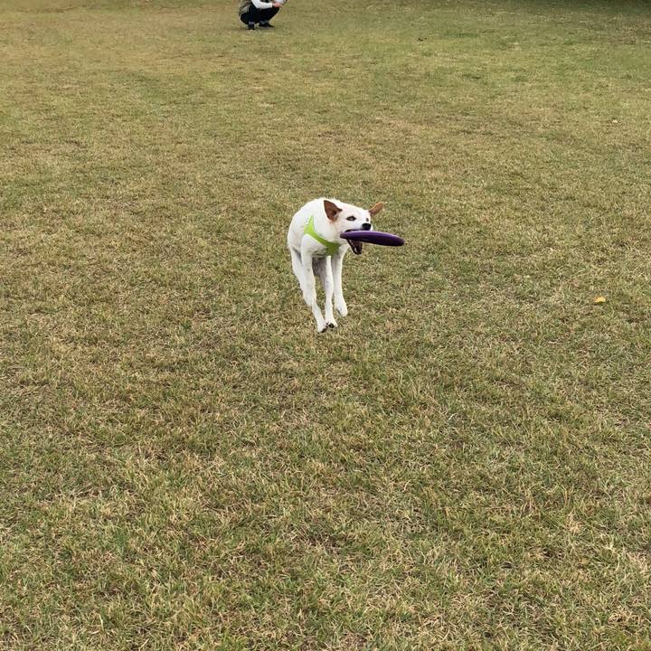 51e4a2d6 5268 4d58 a780 49eaade3b5b5 1510477155832