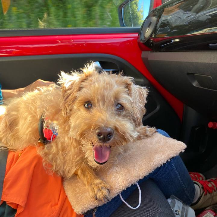 51e4c58a c068 4717 85f8 38373e4e1f02 1662848898110