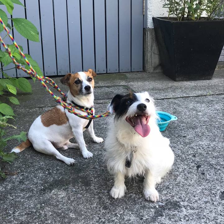 51e4d938 d4de 4841 8ee9 9d06502117a6 1535243320248