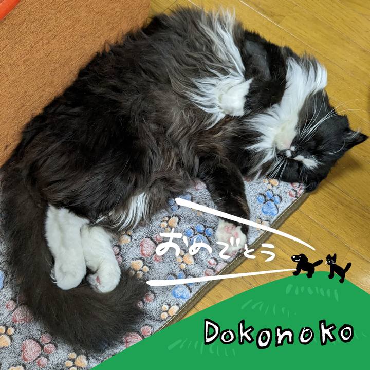 51e51e1b d99b 4449 a1fa f7250c16b20d 1685971805975