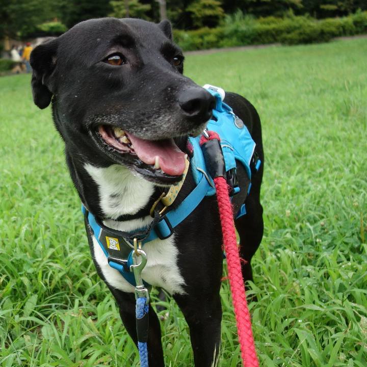 51e52e28 6333 406b 8de6 a248b652a97b 1626224122946