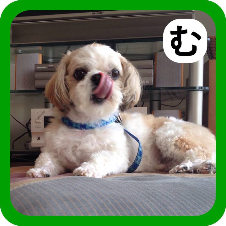 51e540bf 99ce 4f8f 8817 723227a20e13 1515071364530