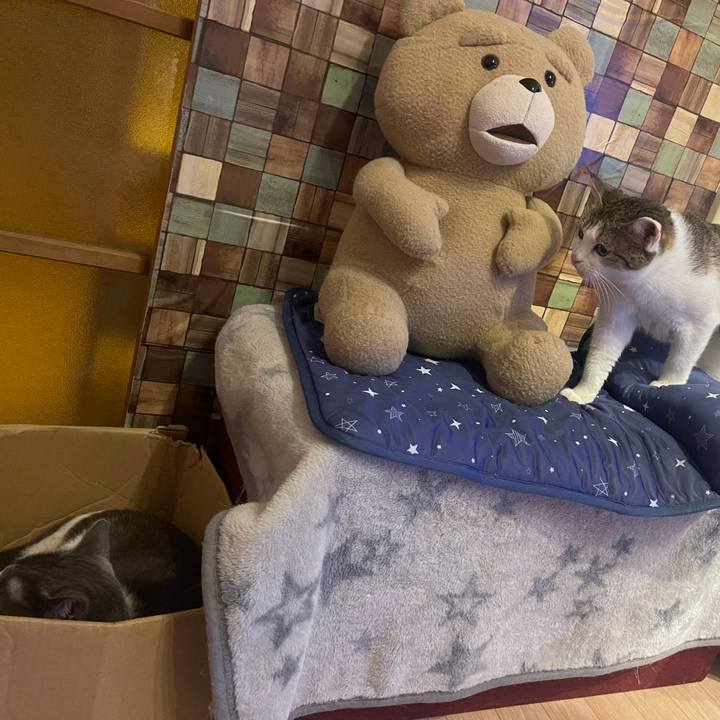 51e55ec7 268c 45fe be6d d1801c5190f7 1628683765294