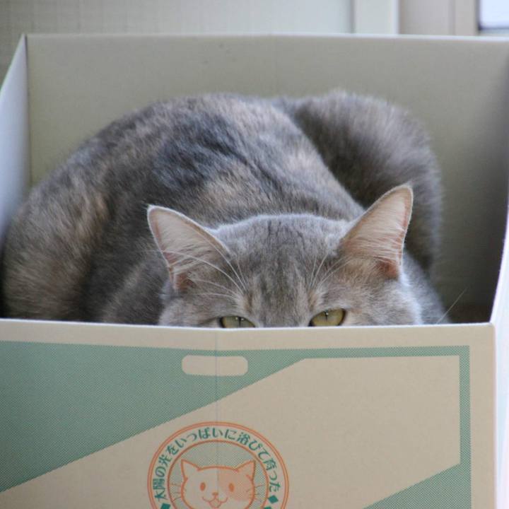 51e568c7 9251 4d95 8392 fe9f59a2c8d5 1538390107315