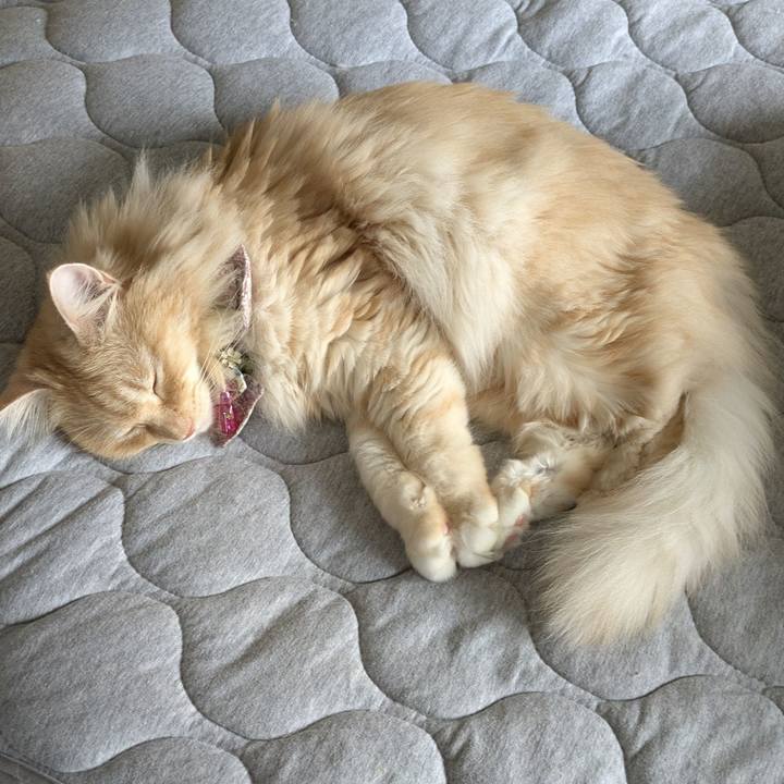 51e568da c5a7 499b aea3 243619d64bfc 1756880163457