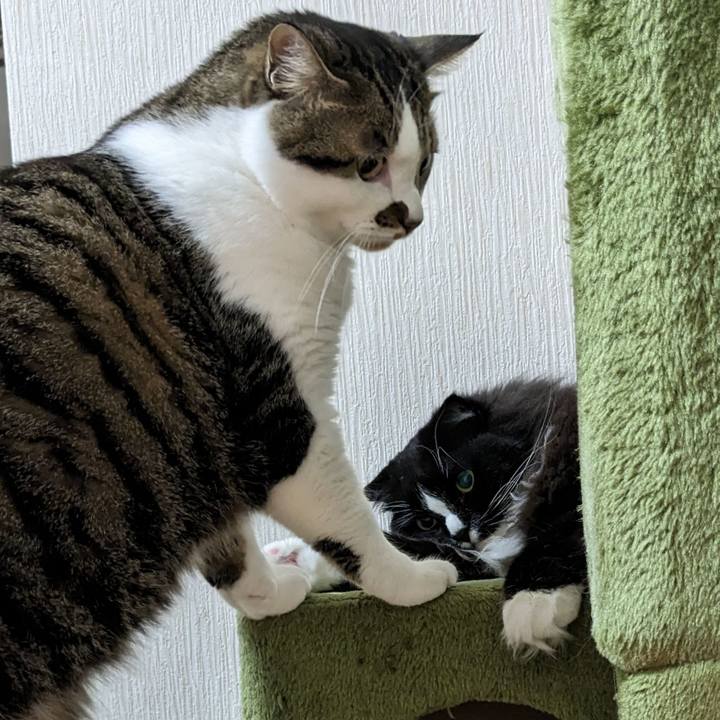 51e5da63 bfb4 4f8a 8b30 da8e978d4553 1690114896064